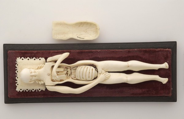 Ivory anatomical model of a pregnant female with removable parts possibly used by obstetric specialists or midwives to provide reassurance for pregnant women. Possibly German