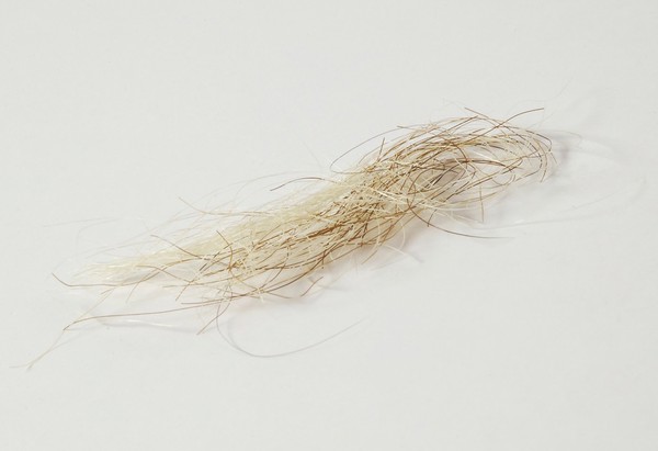 A lock of King George III hair