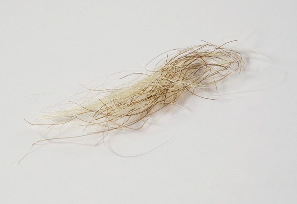 A lock of King George III hair