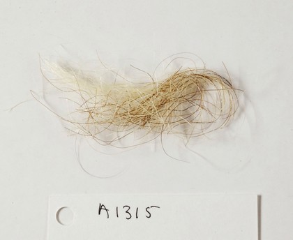 A lock of King George III hair