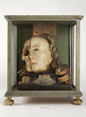 view A Vanitas tableau of a life sized head, on one side resembling Queen Elizabeth I, the other half a skull with attendant insects and reptiles, made from wax.