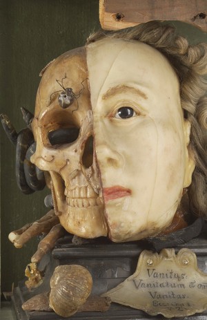 view A Vanitas tableau of a life sized head, on one side resembling Queen Elizabeth I, the other half a skull with attendant insects and reptiles, made from wax.