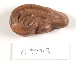 view A clay-baked ear. Roman votive offering