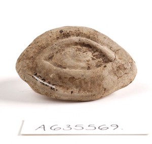 view A clay-baked eye. Roman votive offering