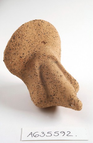 view Clay-baked male genitalia. Roman votive offering