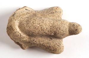 view Clay-baked male genitalia. Roman votive offering