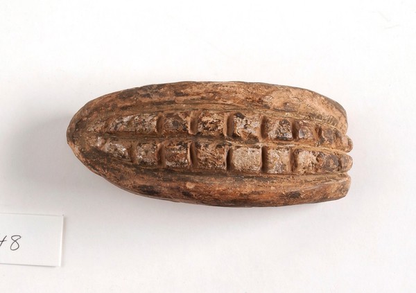 A clay-baked teeth. Roman votive offering