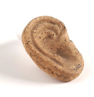 view A clay-baked ear. Roman votive offering