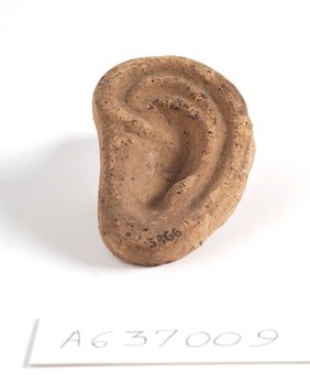 A clay-baked ear. Roman votive offering