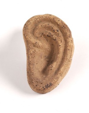 view A clay-baked ear. Roman votive offering