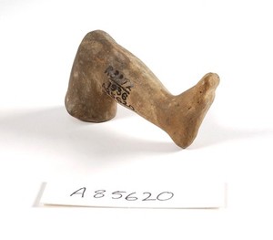 view A clay-backed leg and foot. Roman votive offering