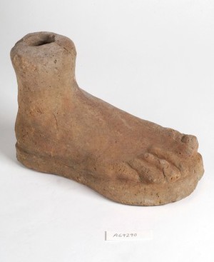 view A clay-baked foot. Roman votive offering