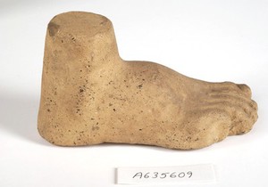 view A clay-baked foot. Roman votive offering