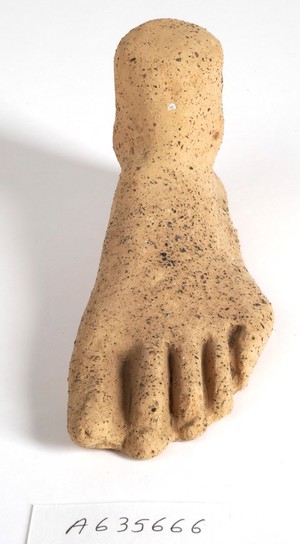 view A clay-baked foot. Roman votive offering