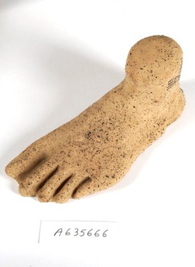 A clay-baked foot. Roman votive offering