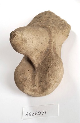 A clay-baked male genitalia. Roman votive offering