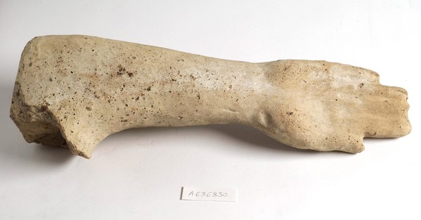 A clay-baked arm. Roman votive offering