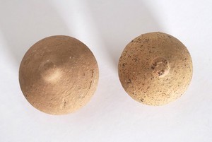 view A clay-baked set of breasts. Roman votive offering