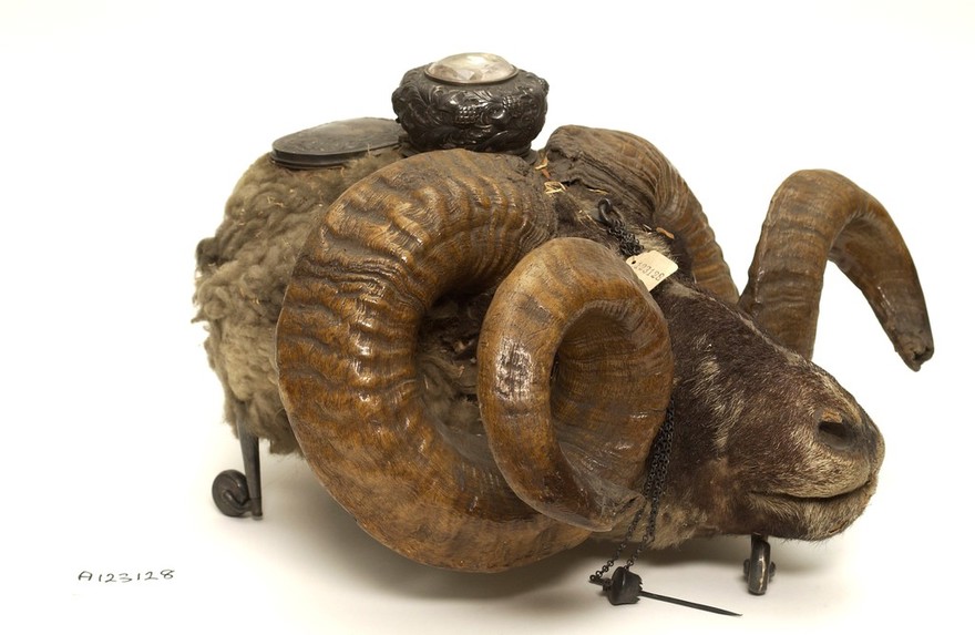Snuff mull in the form of a ram's head containing two compartments with silver-gilt lids.