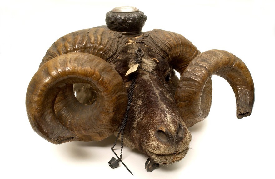 Snuff mull in the form of a ram's head containing two compartments with silver-gilt lids.