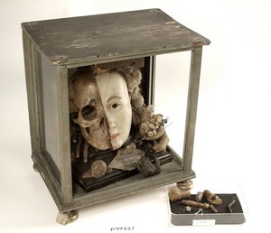 view A Vanitas tableau of a life sized head, on one side resembling Queen Elizabeth I, the other half a skull with attendant insects and reptiles, made from wax.