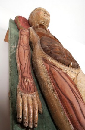 Wooden anatomical figure with removable parts, German