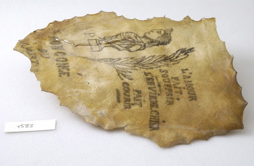 A tattoo on a piece of human skin showng a Greek style bust of an Emperor and some writing
