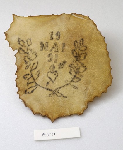A tattoo on a piece of human skin showing a heart with an arrow through it and the date of the 19th May 91