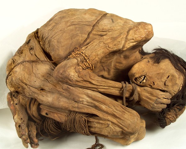 Peruvian mummified male, c.1200-1400