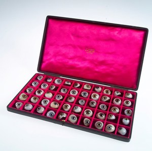 view A case filled with a selection of 50 glass eyes. Possibly made by E. Muller of Liverpool.