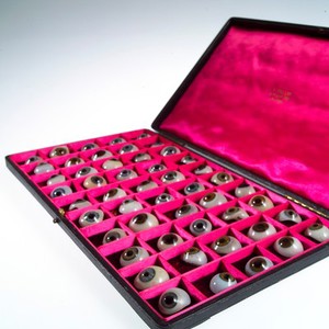 view A case filled with a selection of 50 glass eyes. Possibly made by E. Muller of Liverpool.