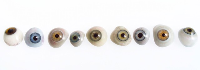 A selection of glass eyes from an opticians glass eye case. | Wellcome ...