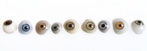 view A selection of glass eyes from an opticians glass eye case.