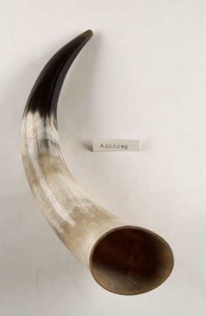 view Cow's Horn used for infant feeding