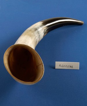 view Cow's Horn used for infant feeding