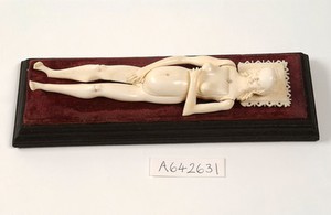 view Anatomical model of a pregnant female