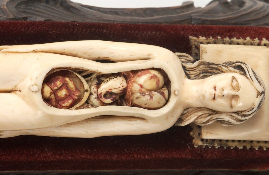 Ivory anatomical figure of a pregnant woman