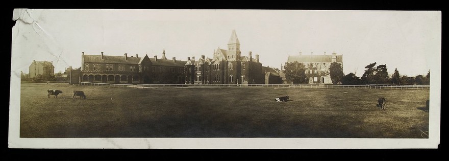 Darenth Asylum and Schools, Dartford, Kent: panoramic view. Photograph.