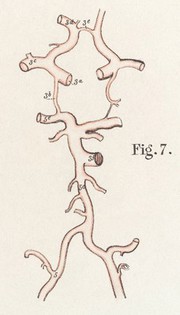 The anatomy of the arteries of the human body and its applications to pathology and operative surgery with a series of lithographic drawings / / by Richard Quain. The drawings from nature and on stone by Joseph Maclise.