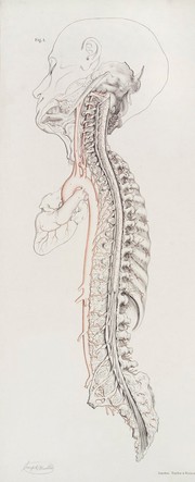The anatomy of the arteries of the human body and its applications to pathology and operative surgery with a series of lithographic drawings / / by Richard Quain. The drawings from nature and on stone by Joseph Maclise.