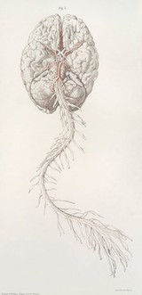 The anatomy of the arteries of the human body and its applications to pathology and operative surgery with a series of lithographic drawings / / by Richard Quain. The drawings from nature and on stone by Joseph Maclise.