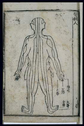 Bronze Man acupuncture figurine, back view, Chinese woodcut