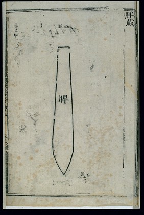 Anatomy of the spleen in ancient Chinese medicine, woodcut