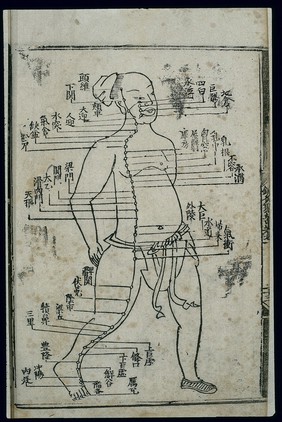 Acupuncture chart, stomach channel of foot yangming, Chinese