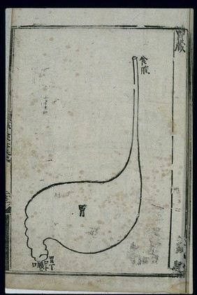 Anatomy of the stomach in ancient Chinese medicine, woodcut