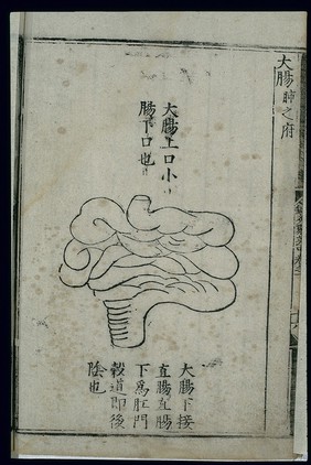 Anatomy of the large intestine in ancient Chinese medicine