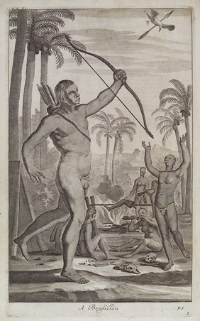 A collection of voyages and travels, some now first printed from original manuscripts, others now first published in English. To which is prefixed, an introductory discourse (supposed to be written by the celebrated Mr. Locke) intitled, the whole history of navigation from its original to this time / Illustrated with maps and cuts, curiously engraved.