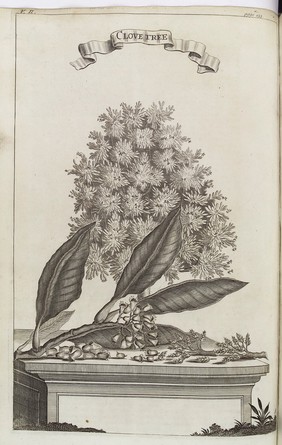 A collection of voyages and travels, some now first printed from original manuscripts, others now first published in English. To which is prefixed, an introductory discourse (supposed to be written by the celebrated Mr. Locke) intitled, the whole history of navigation from its original to this time / Illustrated with maps and cuts, curiously engraved.