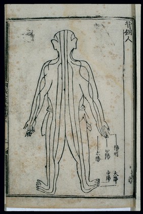 Bronze Man acupuncture figurine, back view, Chinese woodcut