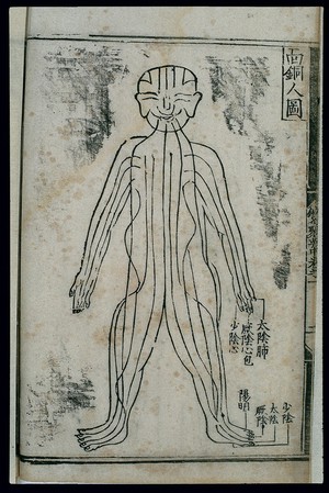 view Bronze Man acupuncture figurine, front view, Chinese woodcut